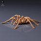 Produktfoto Tierfigur Animal Den Miniatures 7: Spinnentierfigur: Goliath-Vogelspinne (26_10_01)