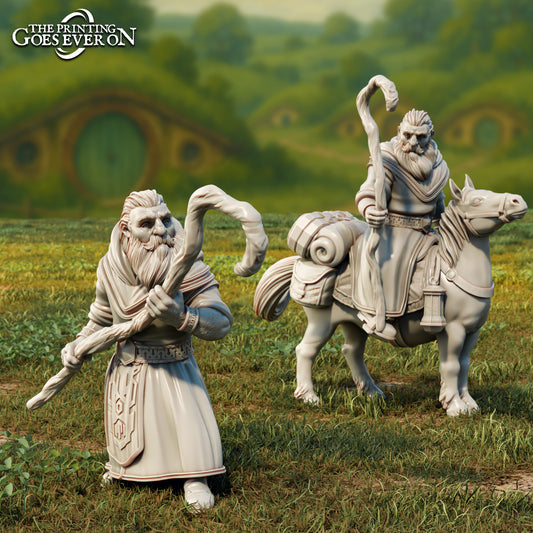 Produktfoto Tabletop 28mm The Printing Goes Ever On (TPGEO)  0: Baldor - Zwergen Gefährte zu Fuß und auf dem Pony