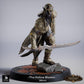 Φωτογραφία προϊόντος Tabletop 28mm Lord of the Print (LotP) 0: Tabletop Μινιατούρα: Ντάρκ Έλφ / Dark Elf Assassine και Διοικητής, Σκιά με δύο καμπυλωτές λεπίδες (26_03_G15)