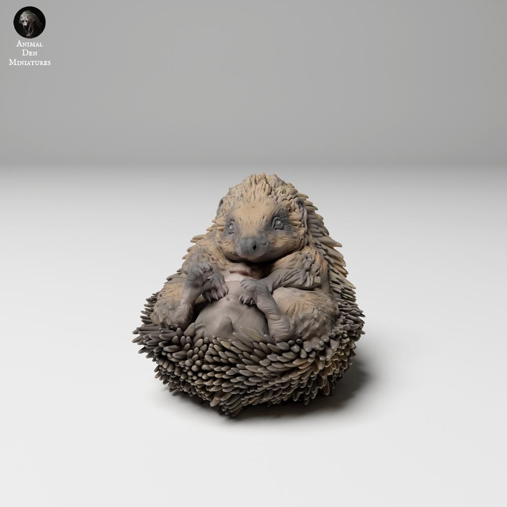 Produktfoto 1: Wildtier Tierfigur: Europaeischer Igel - eingerollt (24_11_05)