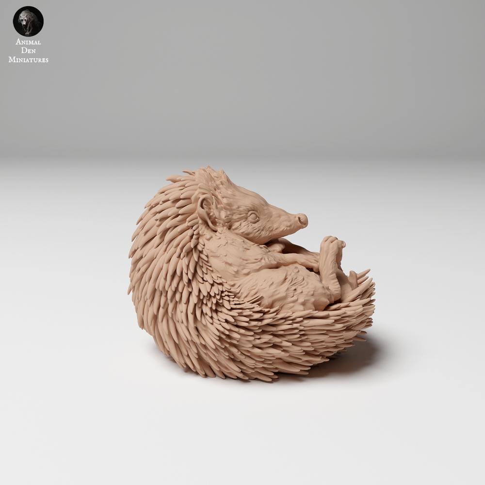 Produktfoto 2: Wildtier Tierfigur: Europaeischer Igel - eingerollt (24_11_05)