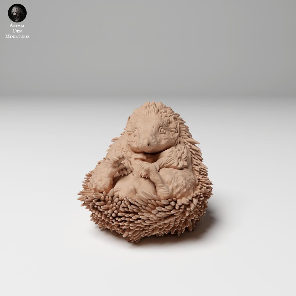 Produktfoto 3: Wildtier Tierfigur: Europaeischer Igel - eingerollt (24_11_05)