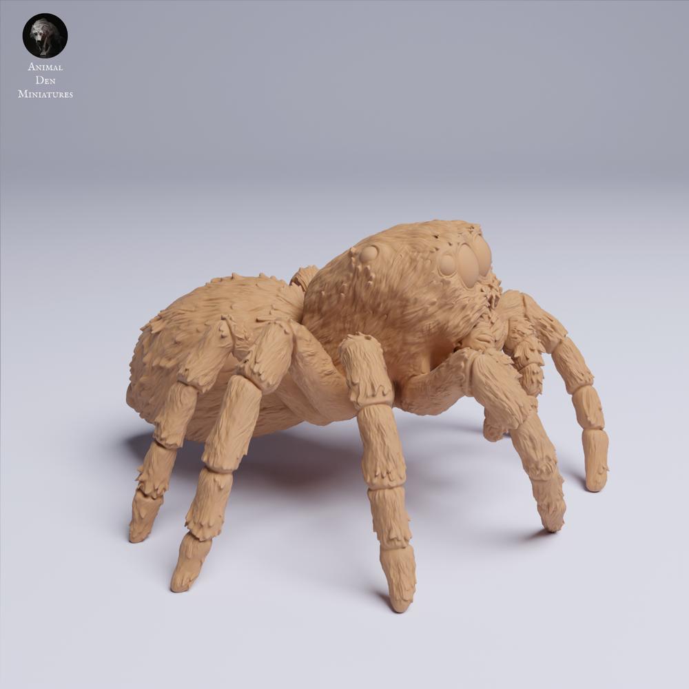 Produktfoto Tierfigur Animal Den Miniatures 0: Spinnen Tierfigur: Goldaugen-Springspinne (25_05_02)