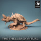 Dragon Turtle - Powerful and Huge Creature (B)