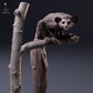 Φωτογραφία προϊόντος φιγούρας ζώου Animal Den Miniatures 6: Φιγούρα άγριου ζώου: Αϊ-αϊ - καθισμένο πάνω σε δέντρο (26_10_05)