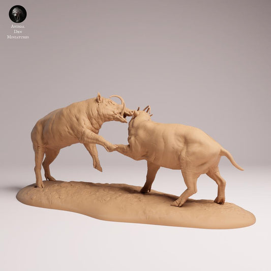 Produktová fotografie Tabletop 28mm Lord of the Print (LotP) 0: Divoké zvíře figurka: Nordsulawesi kančí - bojující divočáci (25_12_09)