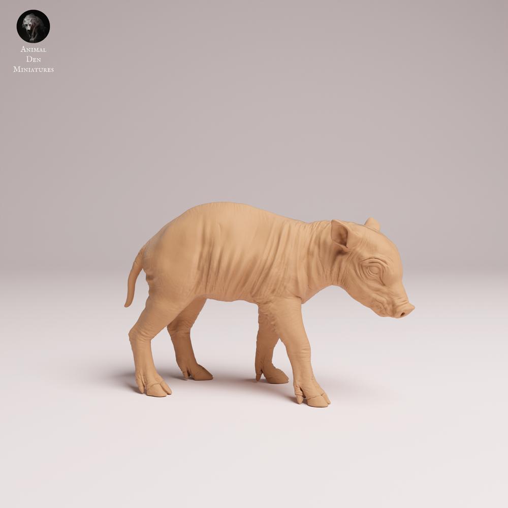 Product photo Tabletop 28mm Lord of the Print (LotP) 1: Wild Animal Figure: Sulawesi Babirusa Piglet - standing (25_12_10)