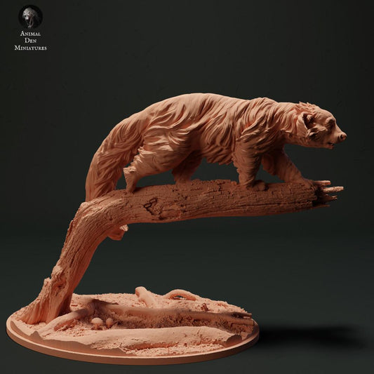 Φωτογραφία προϊόντος φιγούρας ζώου Animal Den Miniatures 0: Φιγούρα άγριου ζώου: Μπιντουρόνγκ - αρκουδογάτα (23_05_10)