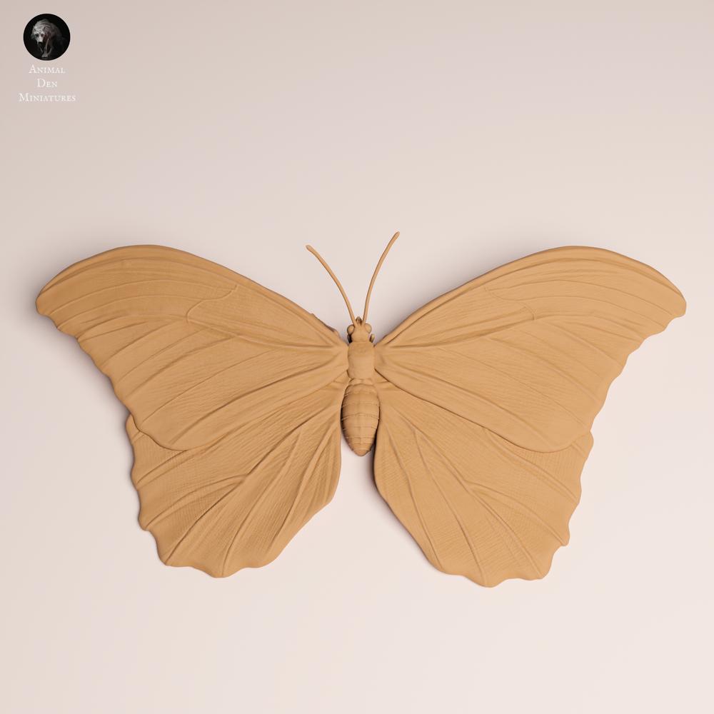 Produktfoto Tabletop 28mm Lord of the Print (LotP) 2: Insekten Tierfigur: Blauer Morphofalter - Fluegel ausgebreitet