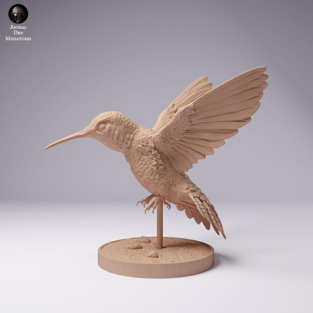 Produktfoto 0: Vogel Tierfigur: Breitschwanzkolibri (25_01_08)
