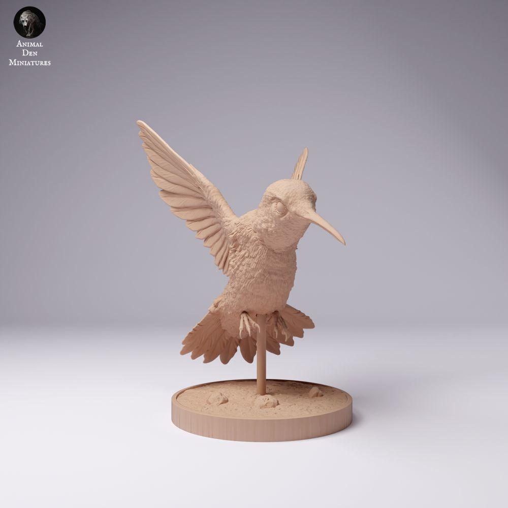 Produktfoto 1: Vogel Tierfigur: Breitschwanzkolibri (25_01_08)