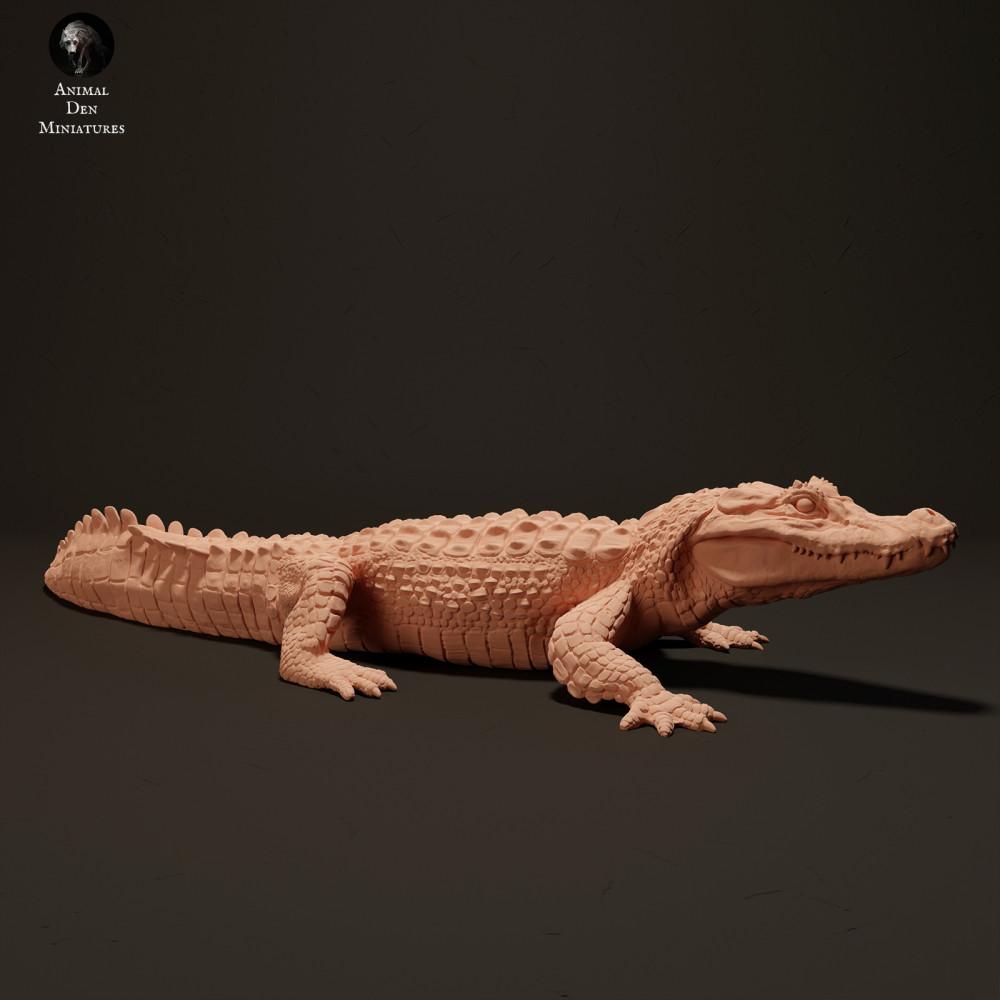 Φωτογραφία προϊόντος φιγούρας ζώου Animal Den Miniatures 0: Φιγούρα ερπετού: μαύρος καϊμάν που λιάζεται (23_06_07)
