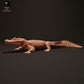 Φωτογραφία προϊόντος φιγούρας ζώου Animal Den Miniatures 1: Φιγούρα ερπετού: Μαύρος καϊμάνος - ενώ λιάζεται (23_06_07)