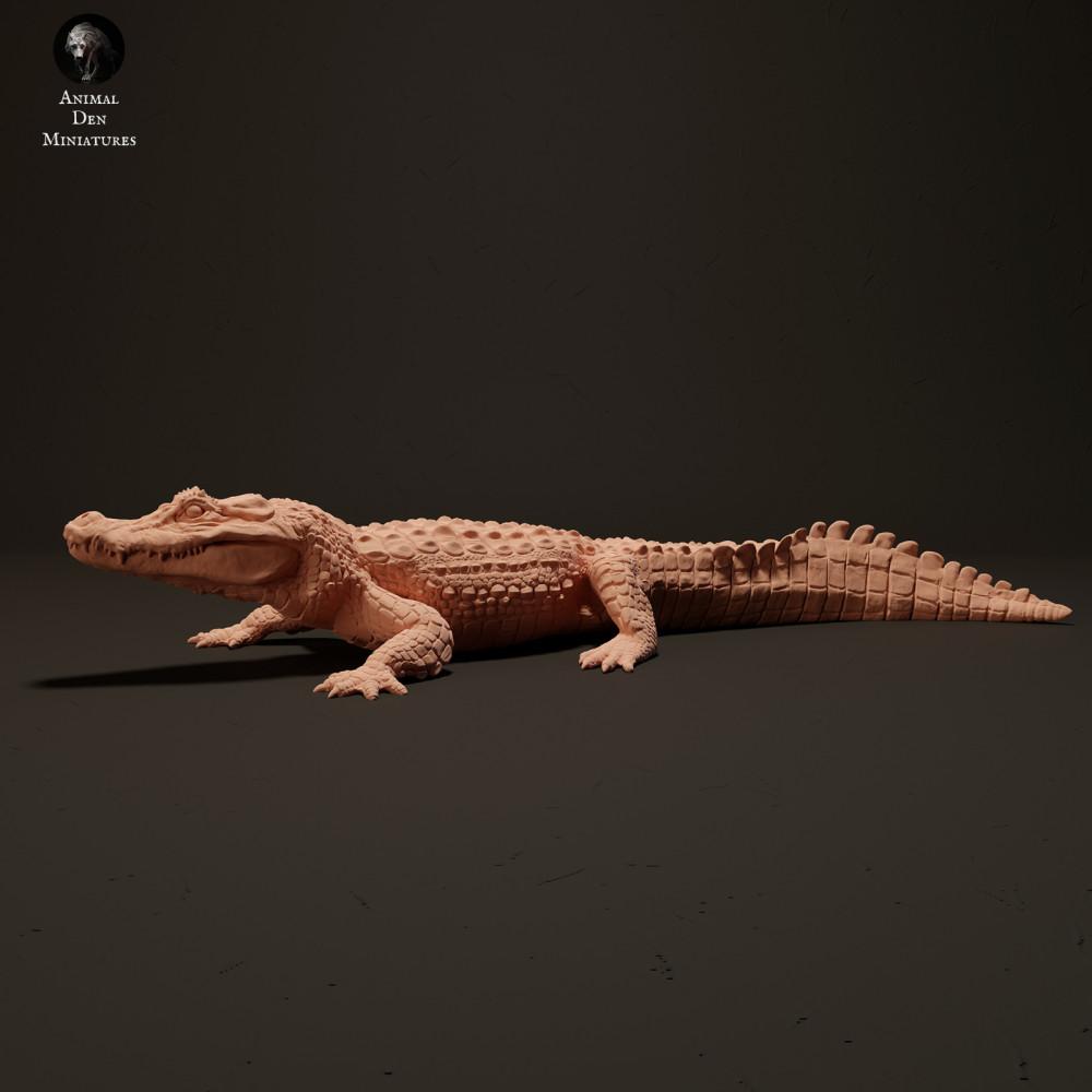 Φωτογραφία προϊόντος φιγούρας ζώου Animal Den Miniatures 1: Φιγούρα ερπετού: Μαύρος καϊμάνος - ενώ λιάζεται (23_06_07)
