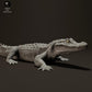 Φωτογραφία προϊόντος ζωικής φιγούρας Animal Den Miniatures 2: Φιγούρα ερπετού: Μαύρος καϊμάν - ενώ λιάζεται (23_06_07)