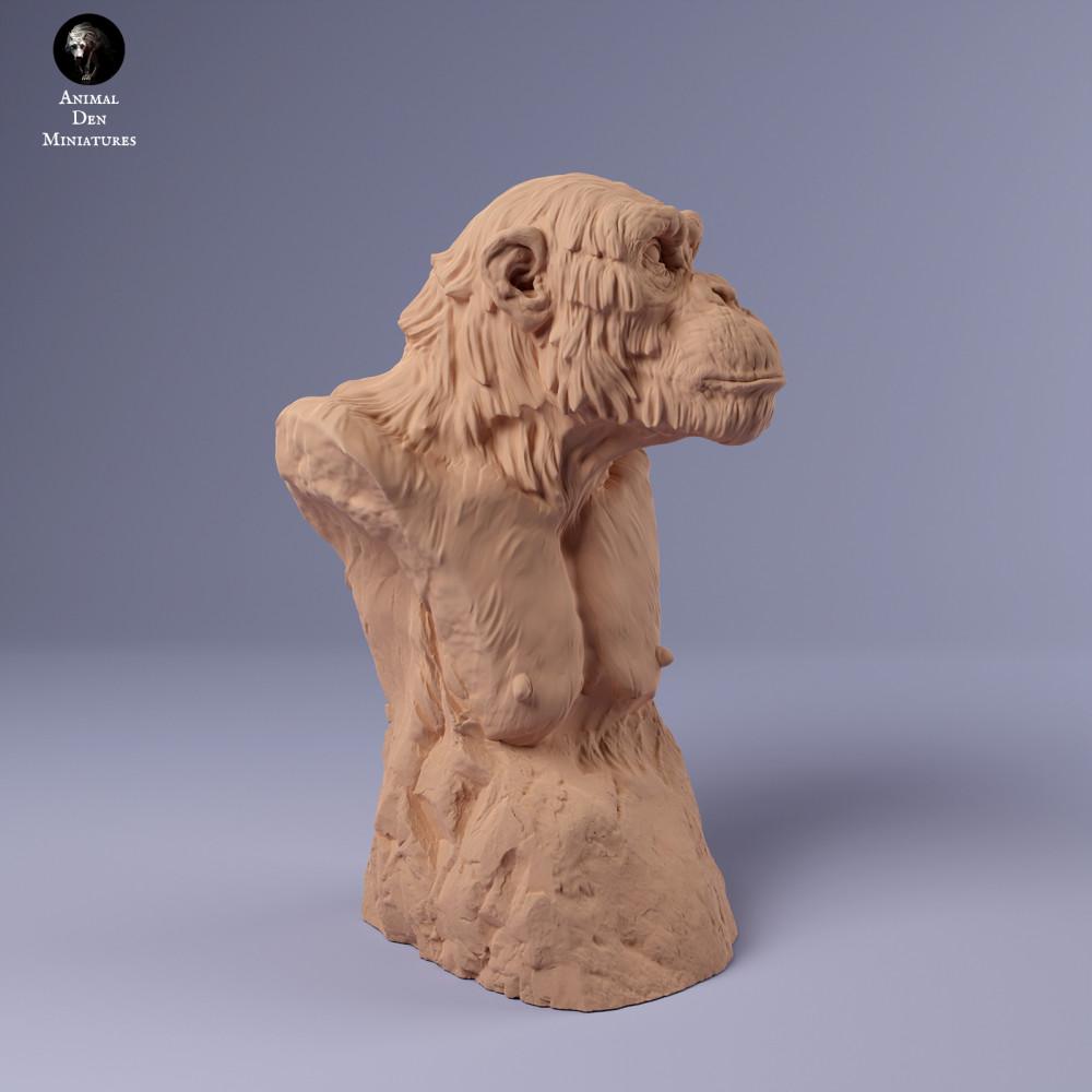 Produktfoto Tierfigur Animal Den Miniatures 0: Dschungel Tierfigur: Gemeiner Schimpanse - Büste (24_02_17)