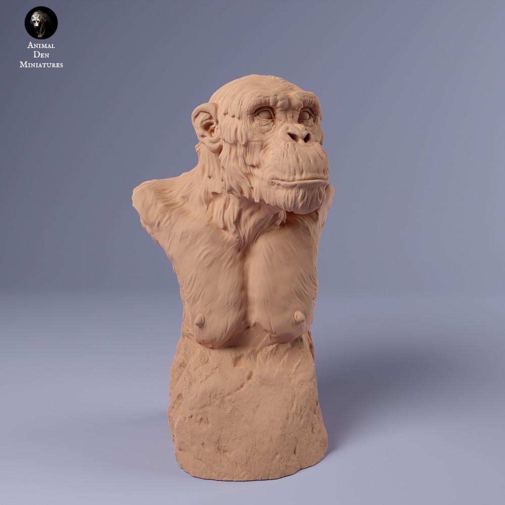 Produktfoto Tierfigur Animal Den Miniatures 1: Dschungel Tierfigur: Gemeiner Schimpanse - Büste (24_02_17)
