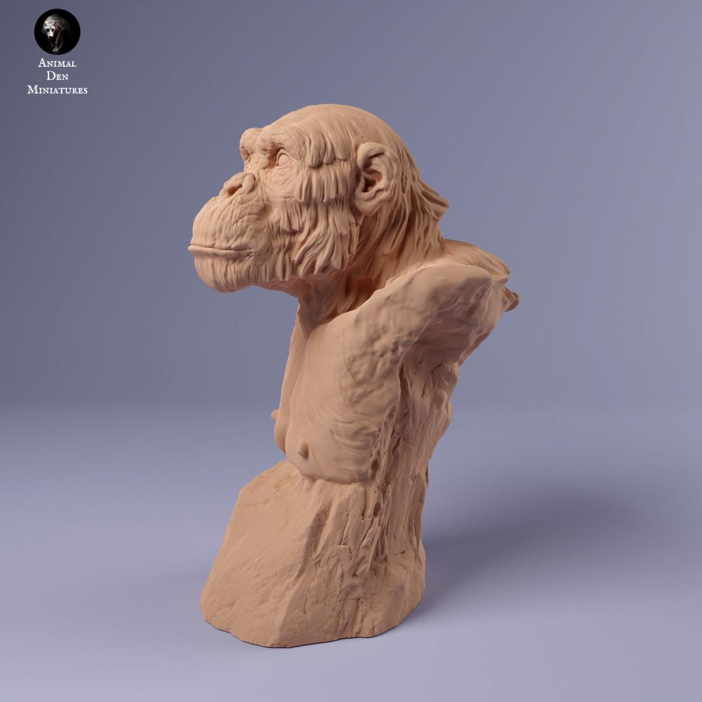 Produktfoto Tierfigur Animal Den Miniatures 2: Dschungel Tierfigur: Gemeiner Schimpanse - Büste (24_02_17)