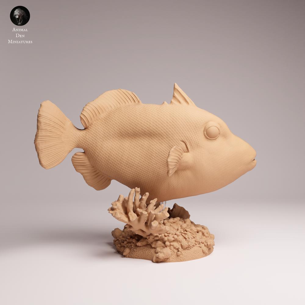 Produktfoto 1: Meerestier Tierfigur: Clown-Drückerfisch (25_10_07)