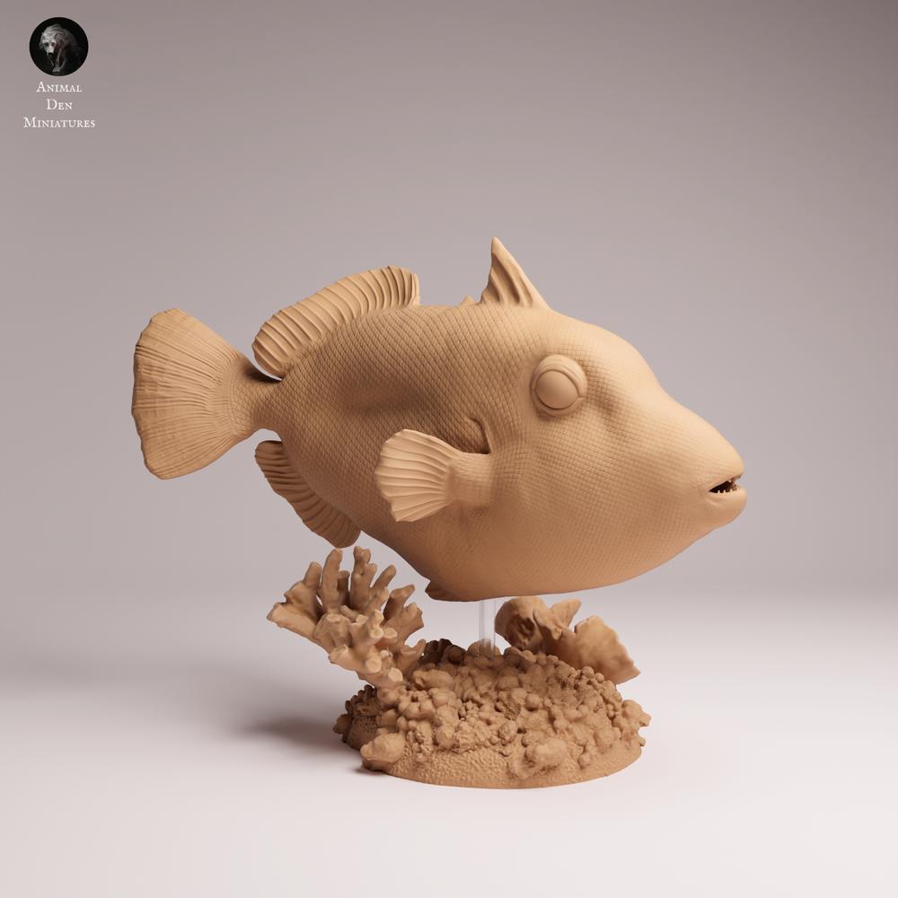 Produktfoto 2: Meerestier Tierfigur: Clown-Drückerfisch (25_10_07)