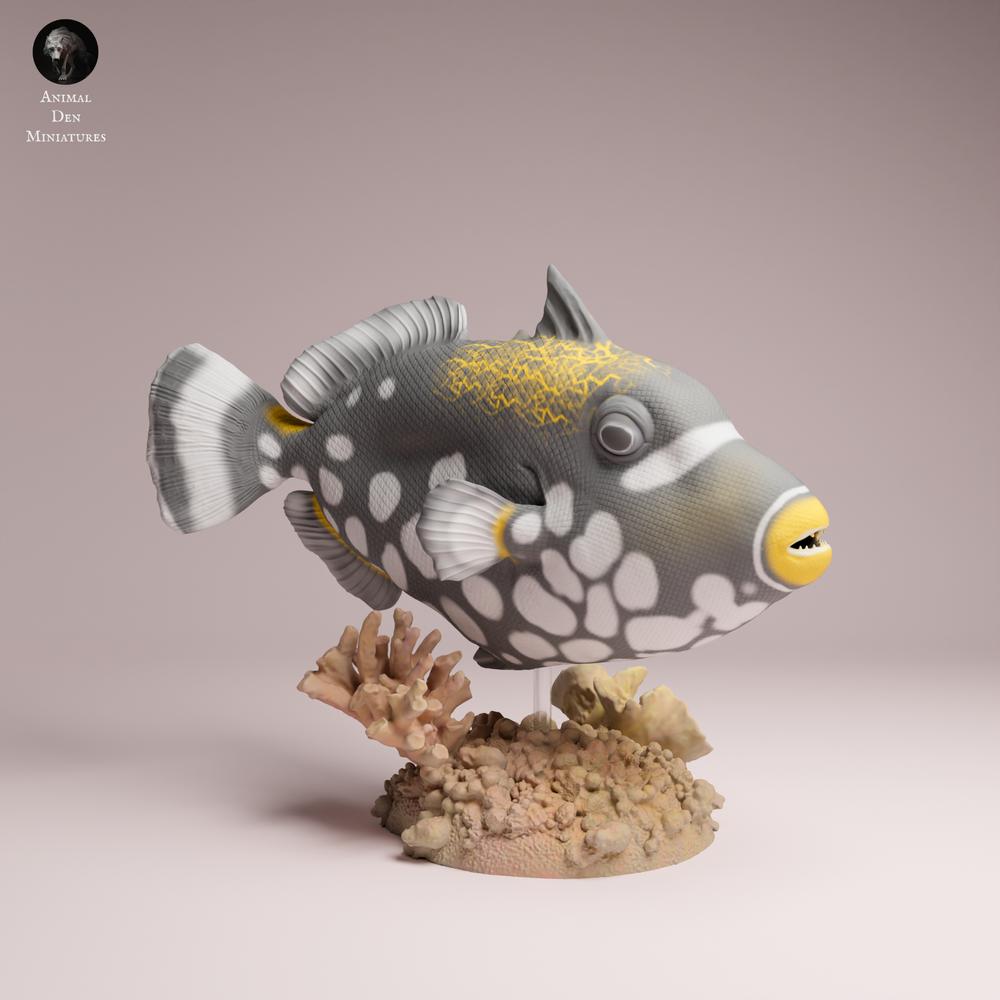 Produktfoto 3: Meerestier Tierfigur: Clown-Drückerfisch (25_10_07)