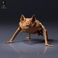 Φωτογραφία προϊόντος φιγούρα ζώου Animal Den Miniatures 6: Φιγούρα ζώου: Κοινή νυχτερίδα-βαμπίρ - σκυφτή (26_10_04)
