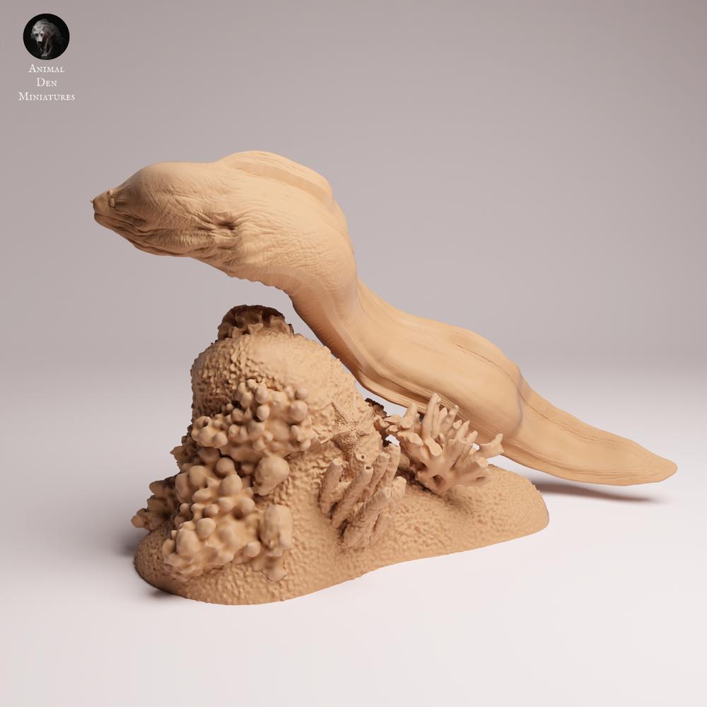 Produktfoto 0: Meerestier Tierfigur: Riesenmuräne - schwimmend (25_10_04)