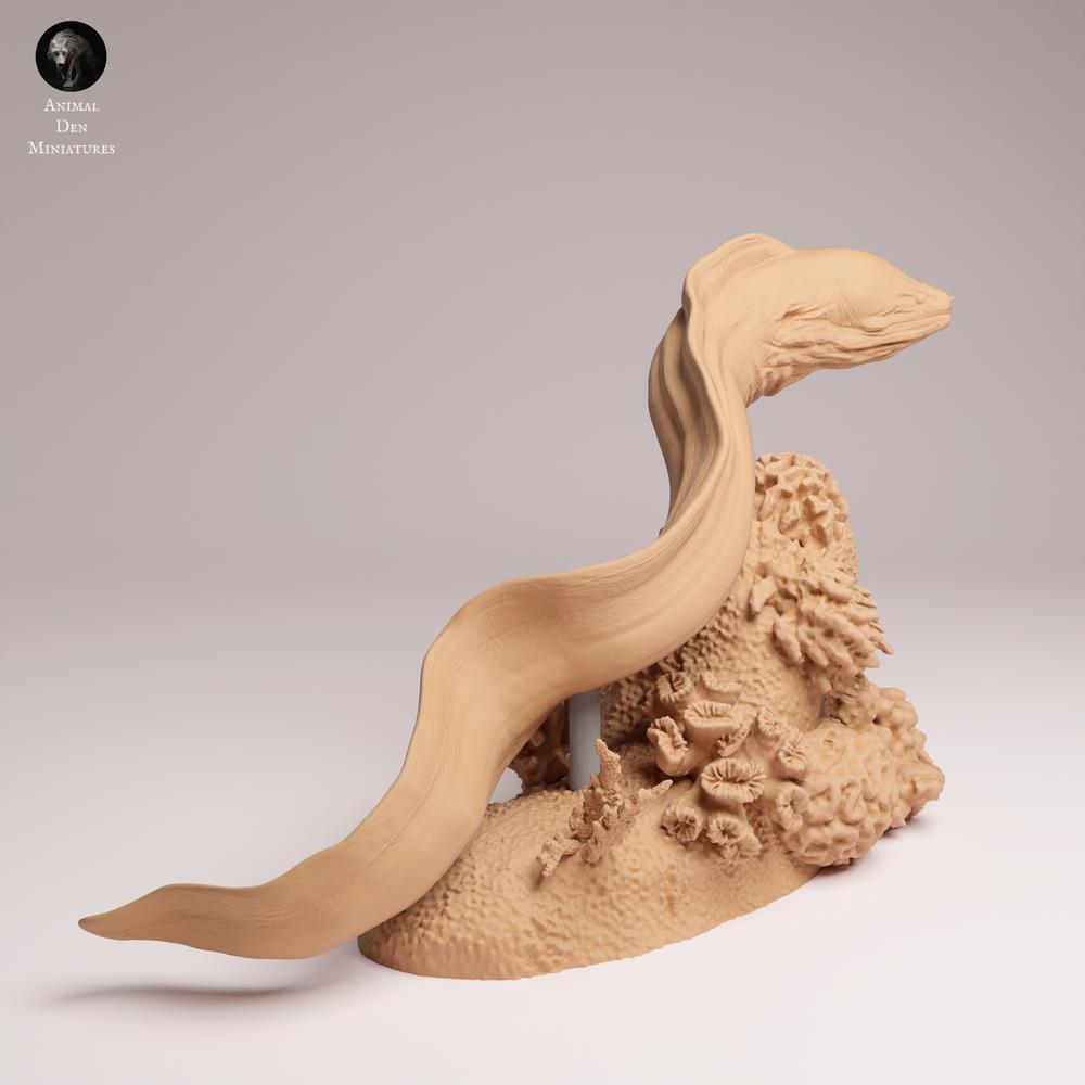 Produktfoto 1: Meerestier Tierfigur: Riesenmuräne - schwimmend (25_10_04)
