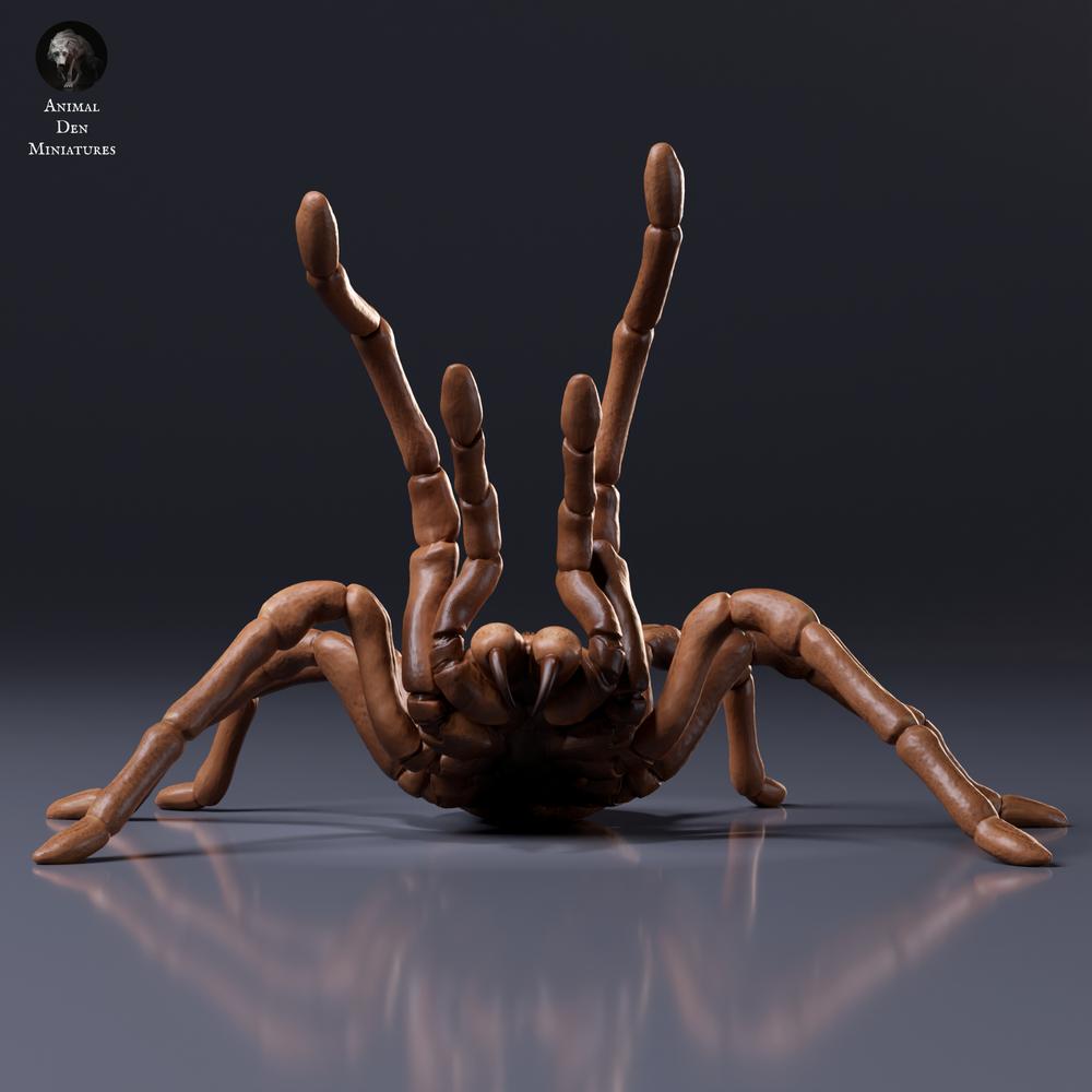 Fotografie produktu - figurka zvířete Animal Den Miniatures 6: figurka pavoukovce: goliášská tarantule - výhrůžná póza (26_10_02)