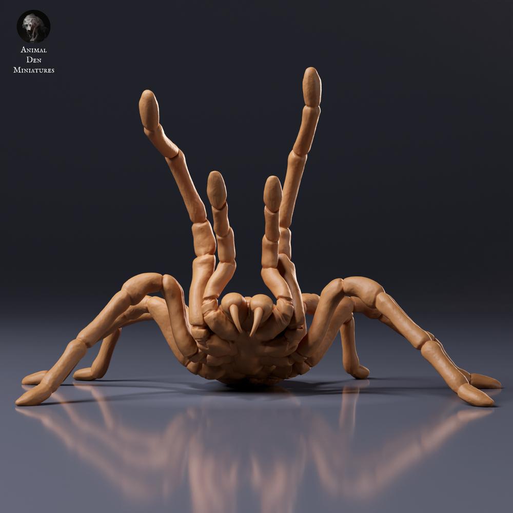 Fotografie produktu - figurka zvířete Animal Den Miniatures 7: figurka pavoukovce: sklípkan největší - výhružný postoj (26_10_02)