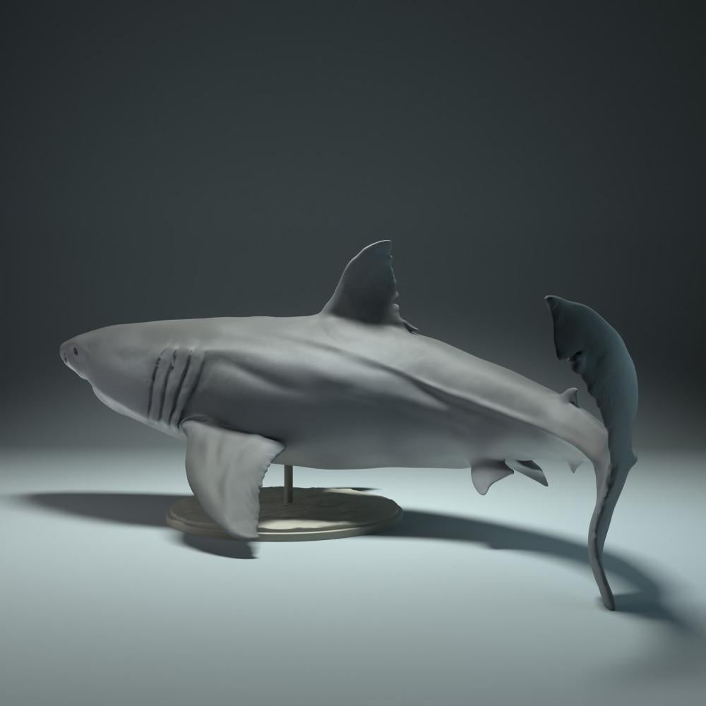 Produktfoto Tierfigur Animal Den Miniatures 1: Meerestier Tierfigur: Weißer Hai (22_09_02)