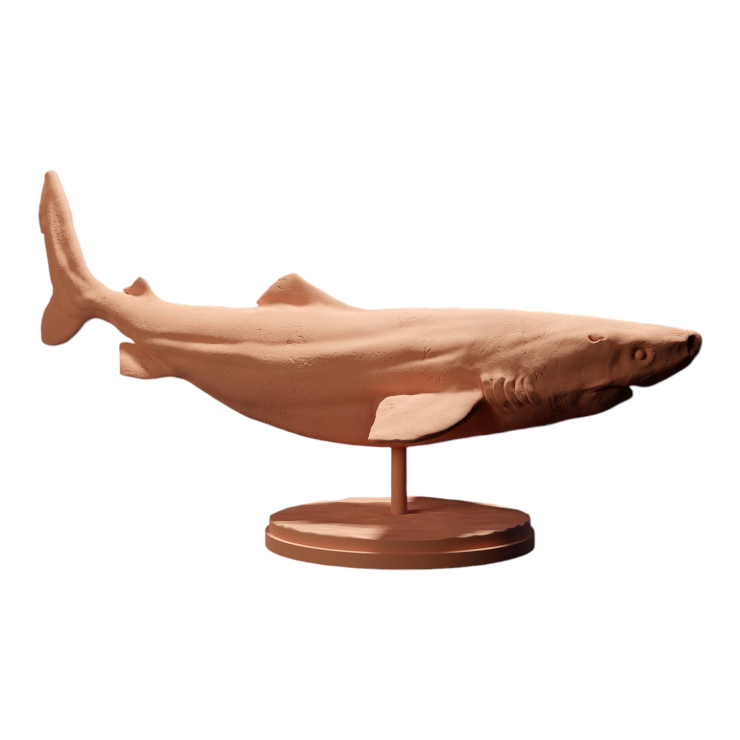 Produktfoto Diorama und Modellbau Miniatur Figur: Hai Tierfigur: Grönlandhai / Eishai