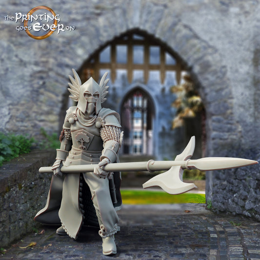 Produktfoto mittelalterliche historische Figur 75mm Scale The Printing Goes Ever On (TPGEO)  0: Mittelalterliche Ritter Figuren Burgwache A - 75mm Modelle - Krieger von Gonthan