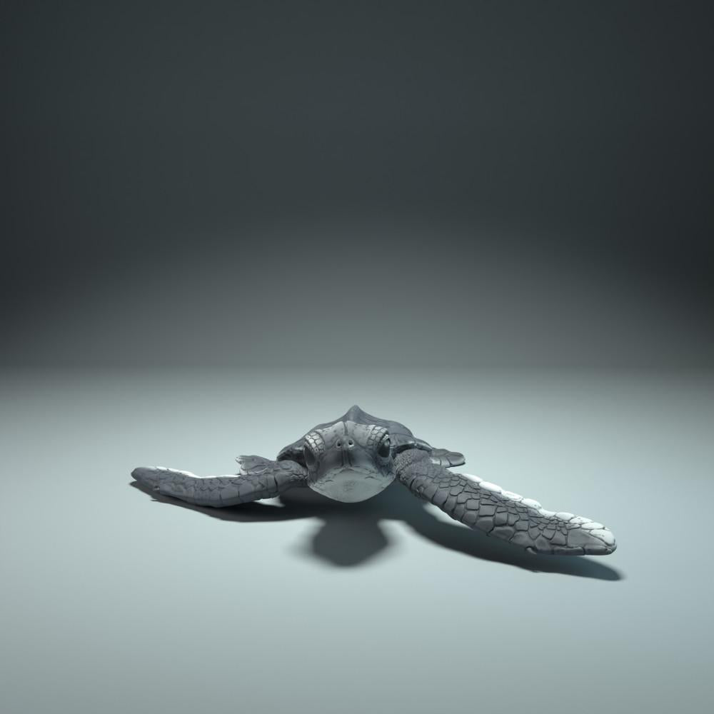 Φωτογραφία προϊόντος ζωικής φιγούρας Animal Den Miniatures 0: Θαλάσσια ζωική φιγούρα: νεογνό θαλάσσιας χελώνας κατά την εκκόλαψη (21_12_01)