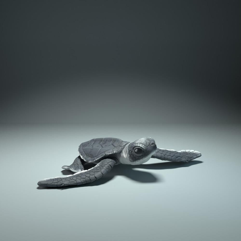Φωτογραφία προϊόντος ζωικής φιγούρας Animal Den Miniatures 1: Θαλάσσια ζωική φιγούρα: νεοσσός θαλάσσιας χελώνας κατά την εκκόλαψη (21_12_01)