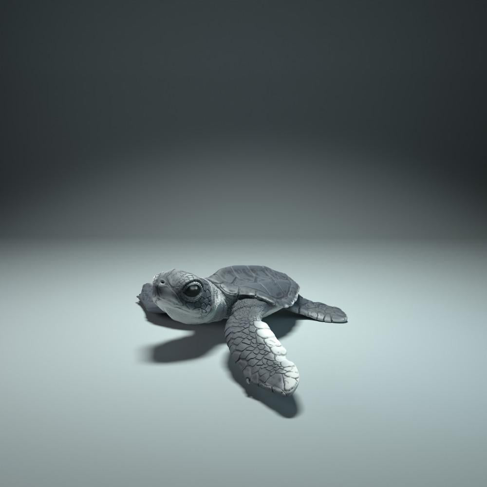 Φωτογραφία προϊόντος φιγούρας ζώου Animal Den Miniatures 3: Φιγούρα θαλάσσιου ζώου: νεογνό θαλάσσιας χελώνας κατά την εκκόλαψη (21_12_01)
