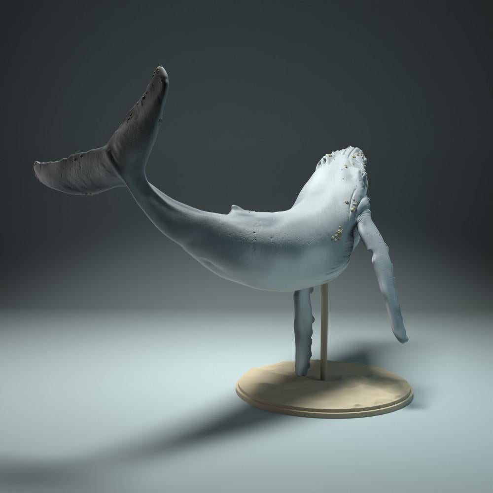 Produktfoto Tierfigur Animal Den Miniatures 2: Meerestier Tierfigur: Buckelwal (22_09_03)