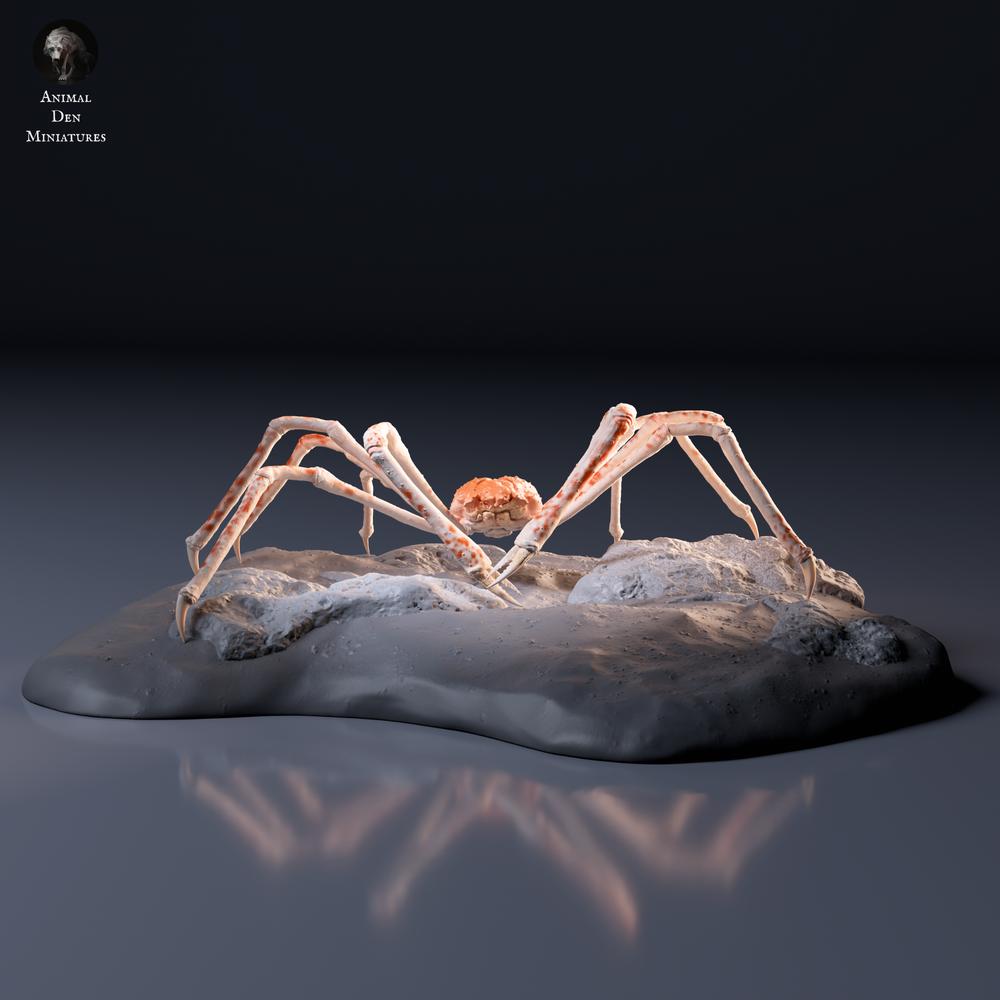 Φωτογραφία προϊόντος, φιγούρα ζώου Animal Den Miniatures 6: Θαλάσσιο ζώο — Ιαπωνικό γιγάντιο καβούρι (26_09_05)