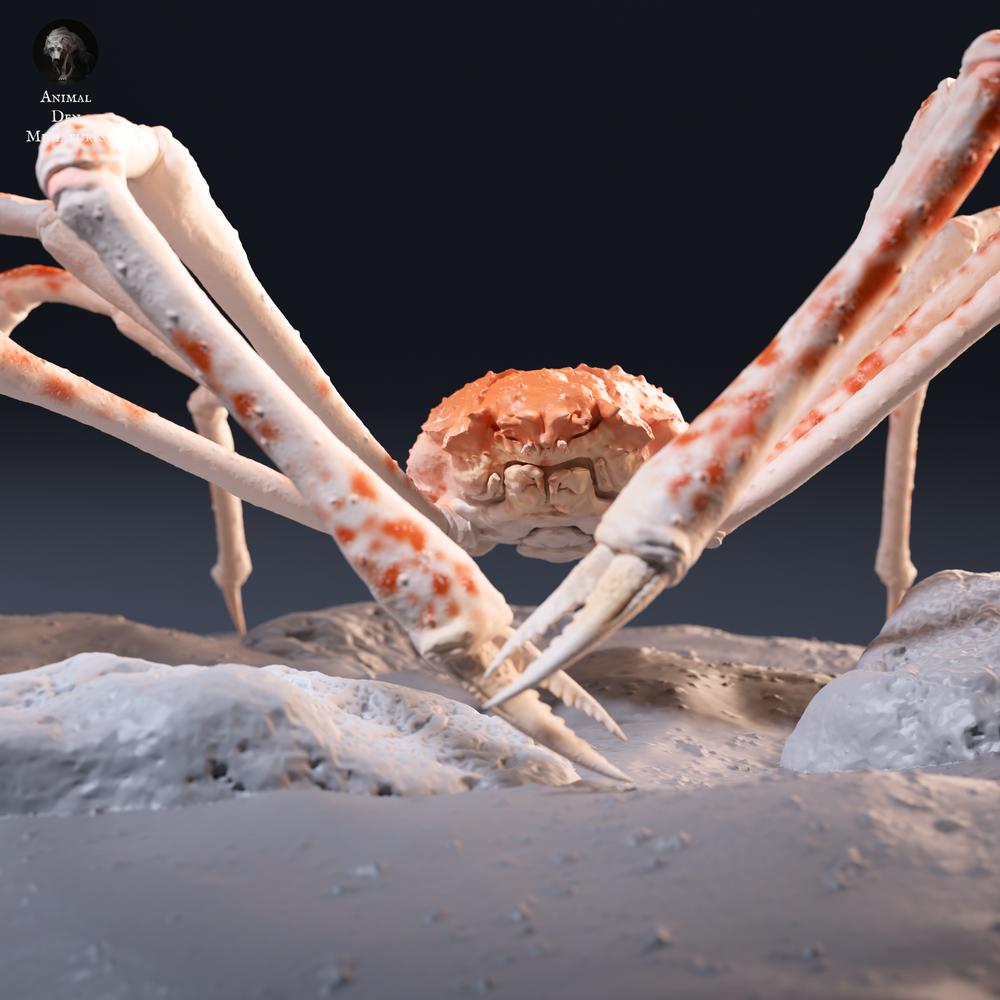 Φωτογραφία προϊόντος φιγούρα ζώου Animal Den Miniatures 7: θαλάσσιο ζώο φιγούρα ζώου: ιαπωνικό γιγάντιο καβούρι (26_09_05)