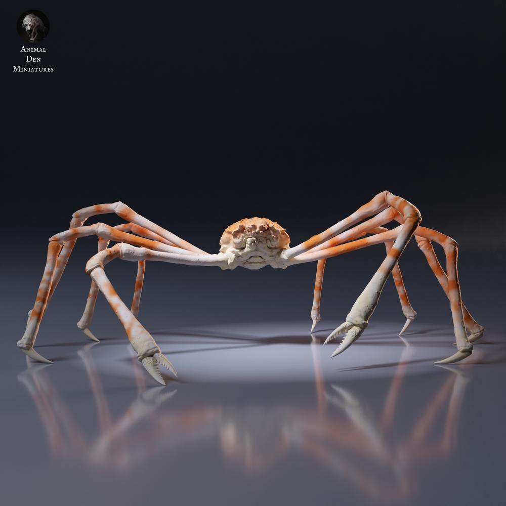 Φωτογραφία προϊόντος φιγούρα ζώου Animal Den Miniatures 5: Φιγούρα θαλάσσιου ζώου: Ιαπωνικό γιγάντιο καβούρι (26_09_04)