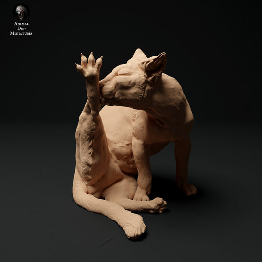 Produktfoto Tier Figur Diorama, Modellbau: 0: Haustier Figur: Katze putzt sich