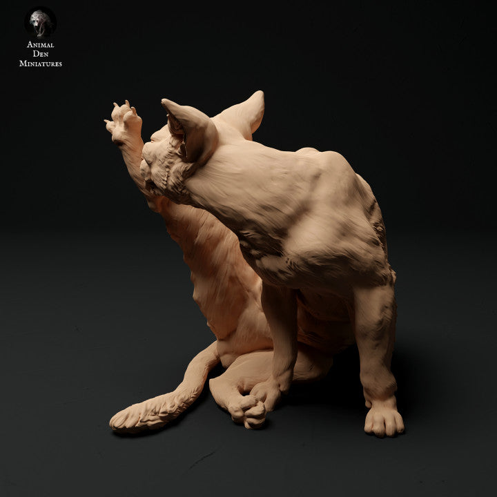 Figura de Animal de Estimação: Gato a Limpar-se (a001)