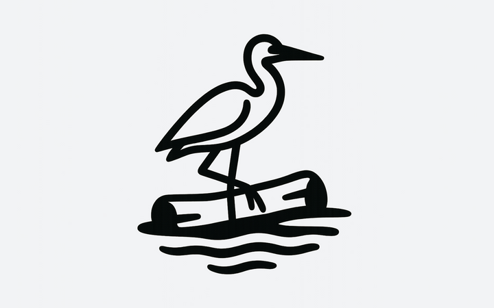 Bažiny/rašeliniště