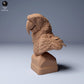 Produktfoto Tierfigur Animal Den Miniatures 0: Dschungel Tierfigur: Scharlachara - Büste (24_04_08)