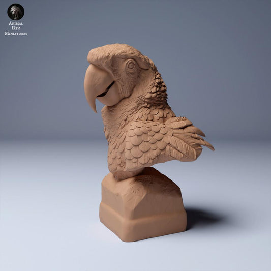 Φωτογραφία προϊόντος φιγούρας ζώου Animal Den Miniatures 0: Φιγούρα ζώου ζούγκλας: Ερυθρός μακάο - Προτομή (24_04_08)
