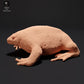 Produktfoto Tierfigur Animal Den Miniatures 0: Amphibien Tierfigur: Mexikanische Grabkröte (23_09_17)