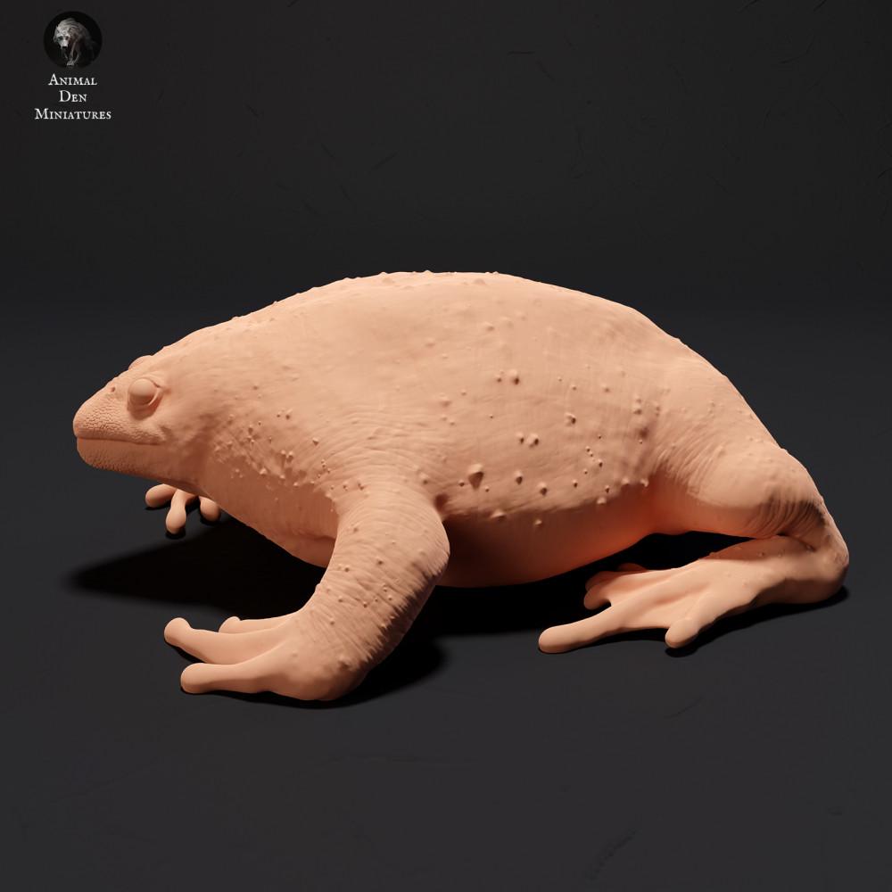 Produktfoto Tierfigur Animal Den Miniatures 0: Amphibien Tierfigur: Mexikanische Grabkröte (23_09_17)