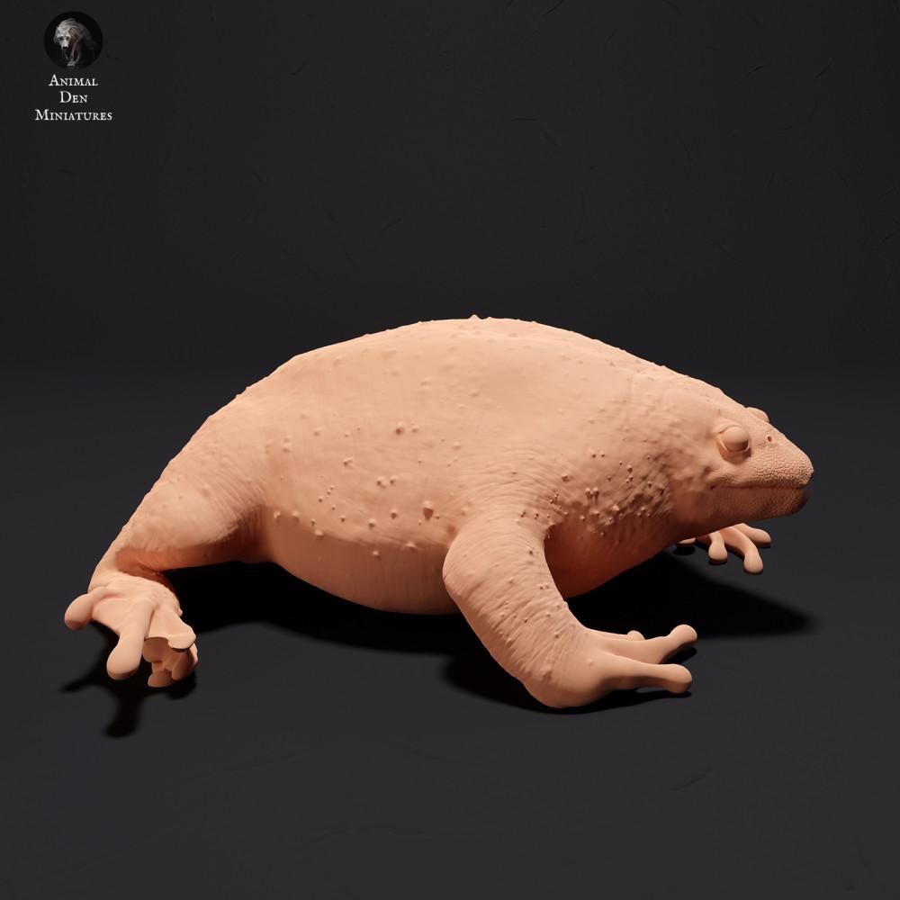 Produktfoto Tierfigur Animal Den Miniatures 1: Amphibien Tierfigur: Mexikanische Grabkröte (23_09_17)