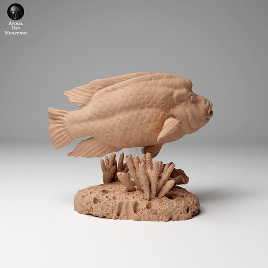Zdjęcie produktu figurka zwierzęca Animal Den Miniatures 0: figurka zwierzęcia morskiego: wargacz garbogłowy (24_06_07)
