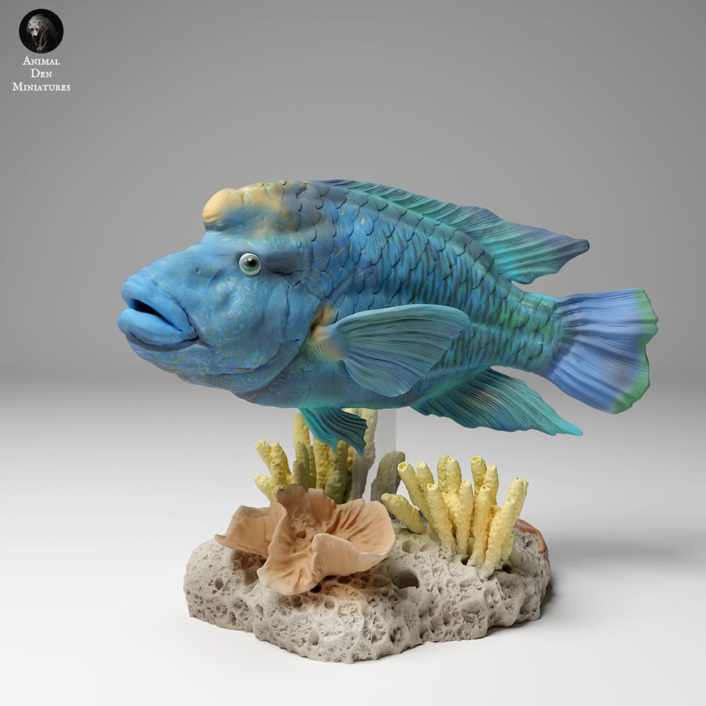 Produktfoto Tierfigur Animal Den Miniatures 2: Meerestier Tierfigur: Napoleon-Lippfisch (24_06_07)
